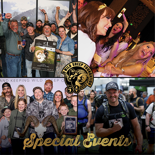 Collage of Sheep Show Special Events. <1, Ladies Brunch, Ram Awards, and Tough Sheep